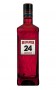 24gin